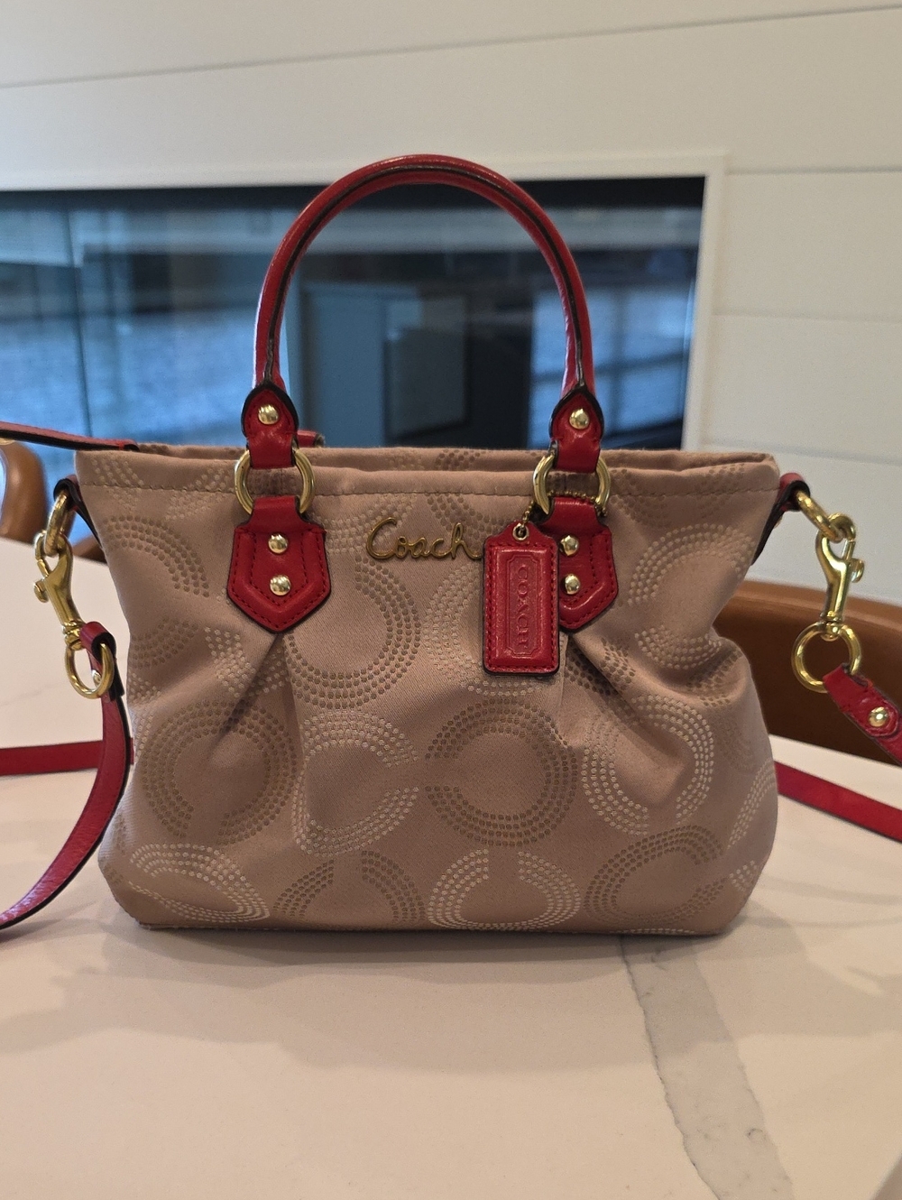 Coach F20343 Ashley Dotted Art Mini Tote